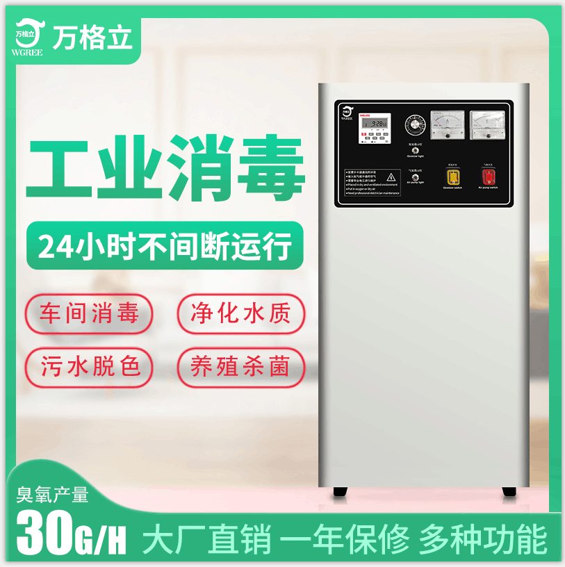 風(fēng)冷30G臭氧機(jī).png